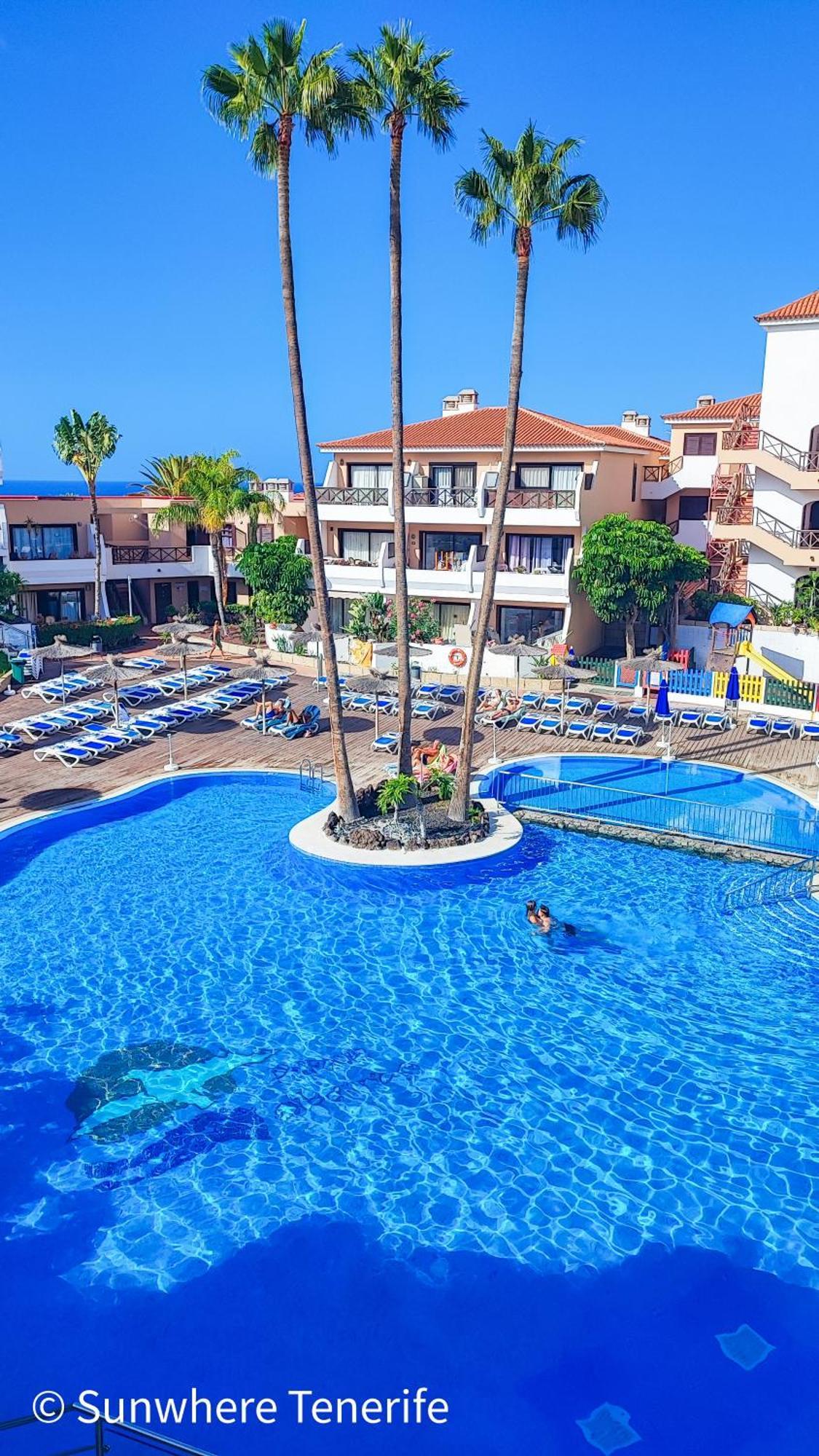 Apartment Spacious With Private Garden In Tenerife South